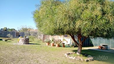 Terreno agricolo