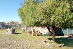 Terreno agricolo