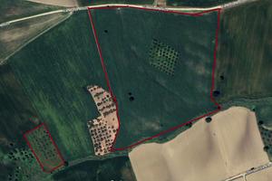 Contrada Difensola - 8ha - 100 piante di olivo