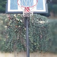 Canestro regolamentare