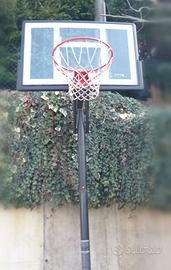 Canestro regolamentare