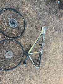 Telaio bici
