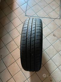 Gomme estive Kumbo