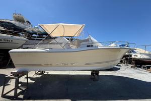 White Shark 248