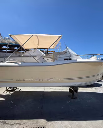 White Shark 248