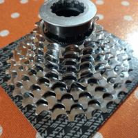 pacco pignoni miche primato 9v 12-28