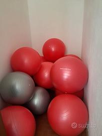 fit ball per pilates