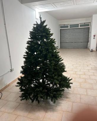 Albero di Natale
