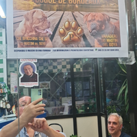 Disponibili cuccioli svezzati