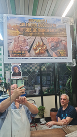 Disponibili cuccioli svezzati