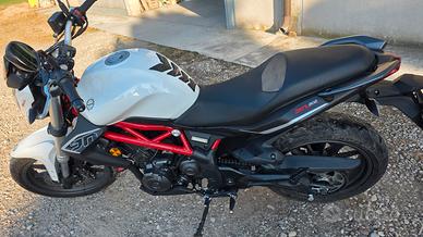 BENELLI BN302 2017