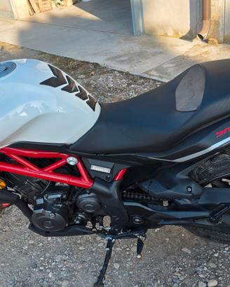 BENELLI BN302 2017