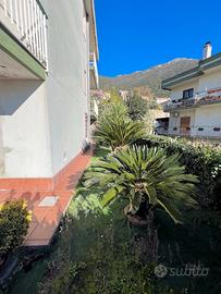 Monolocale con giardino a Capaccio Capoluogo