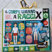 Headu il corpo umano a raggi X - puzzle