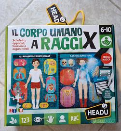 Headu il corpo umano a raggi X - puzzle