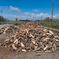 legna da ardere prezzi bomba consegna su benevento