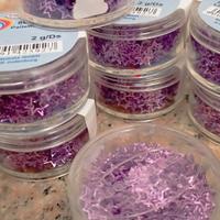 stelle Viola decorazione natalizia