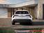 Immagine 7