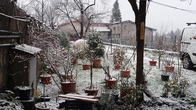 Immobile con giardino garfagnana