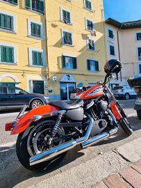 Harley-Davidson Sportster  883 R