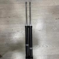 Coppia 2 Ammortizzatori Assale Posteriore E Ricamb