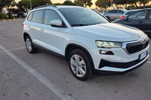 Skoda Karoq 2.0 TDI Executive 116cv Manuale