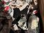 Immagine 3