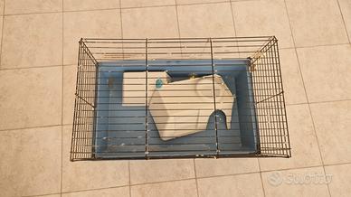 gabbietta per coniglio 