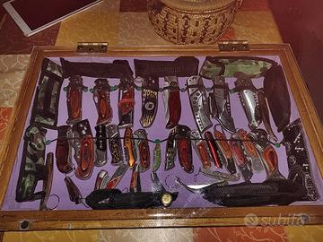collezione di coltelli 