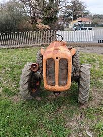 Fiat montanina 250