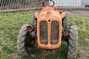 Fiat montanina 250