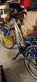 Bicicletta Torpado