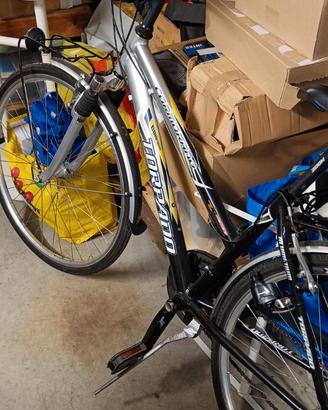 Bicicletta Torpado
