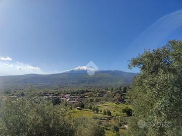 TER. AGRICOLO A LINGUAGLOSSA