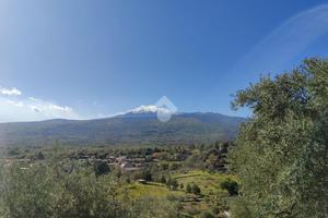 TER. AGRICOLO A LINGUAGLOSSA