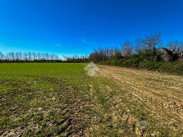 TER. AGRICOLO A BELLUSCO