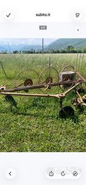 Ranghinatore d’epoca arredo giardino