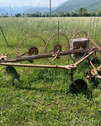 Ranghinatore d’epoca arredo giardino
