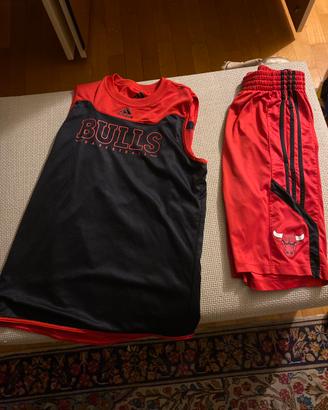 Completino allenamento BULLS Adidas taglia xs