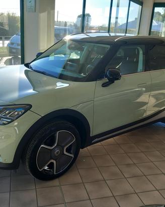 Smart #1 Pro + Pro+ 7,4kW