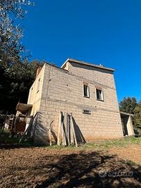 TERRENO AGRICOLO