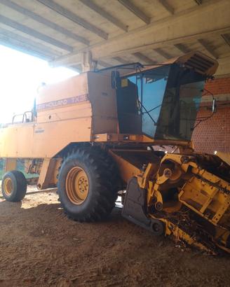 Mietitrebbia new holland TX 36