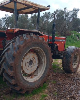Massey Ferguson 