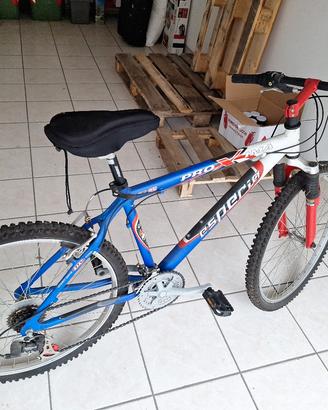 mountain bike