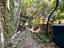 Immagine 19