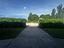 Immagine 24