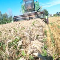mietitrebbia John Deere 