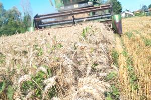 mietitrebbia John Deere 