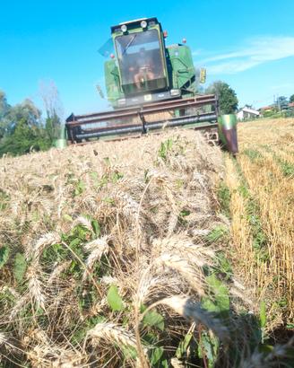 mietitrebbia John Deere 