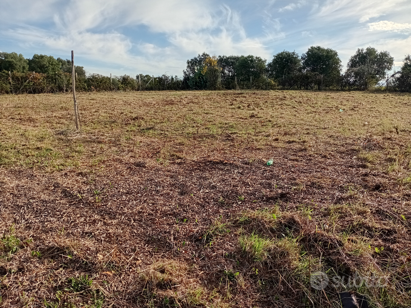 Terreno agricolo - Vista 5